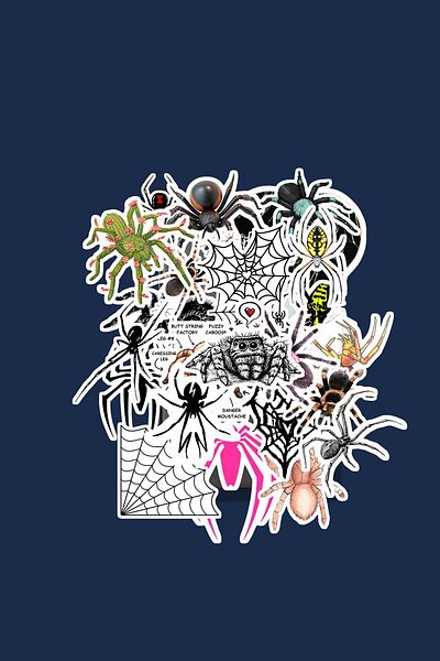 dadi ramba Spider Sticker Pack -Bullet Journal - Agenda -Laptop Sticker Decal