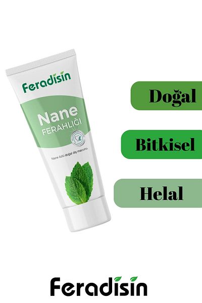 Feradisin عبوتان من معجون الأسنان الطبيعي المبيض والحماية الخالي من الفلورايد بالنعناع 90 جرام × 2 - معتمد من Gimdes Halal