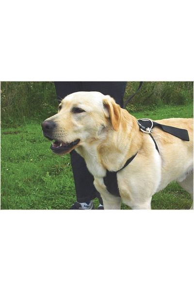 Beeztees Dog In-Car Harness, Black, 70-75cm Chest Diameter, 25mm
