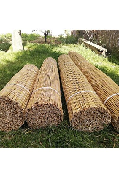 Ersa Hediyelik Kamış Çit Bambu Çit Hasır Çit 1,5 X 2,Metre Yükseklik 1,5 Metre En 2, Metre Misina Kamış Gölgelik