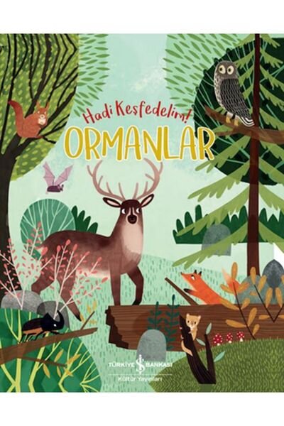 TÜRKİYE İŞ BANKASI KÜLTÜR YAYINLARI Ormanlar Hadi Keşfedelim