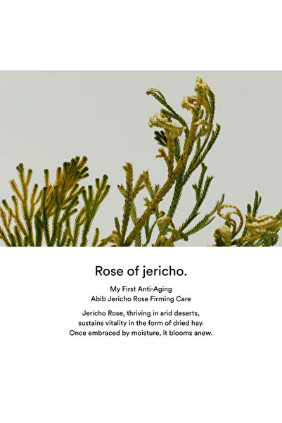 Abib Skin booster toner with Jericho rose and PHA, ABIB, Jericho, 200ml