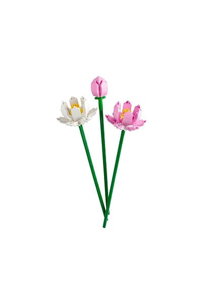 estevia Opportunity Byr 40647 ®   Iconic Botanical Collection Lotus Flowers 220 Pieces +8 Years New