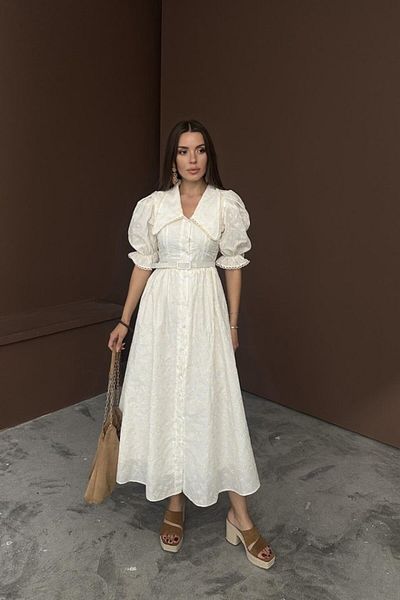 MRA Fashion Beige Baby Collar Balloon Sleeve Embroidery Dress