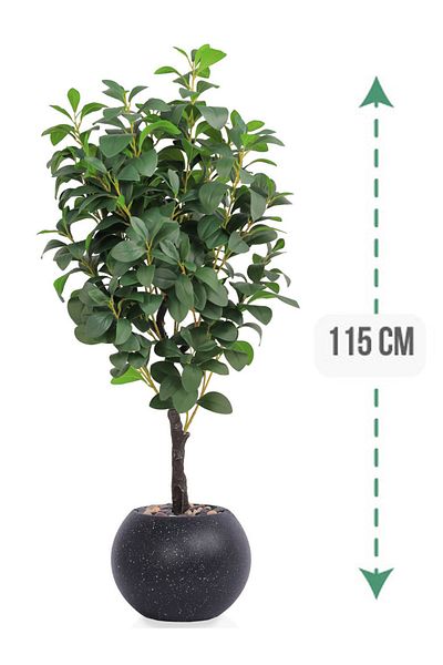 Generic Lemon tree in a round plastic pot