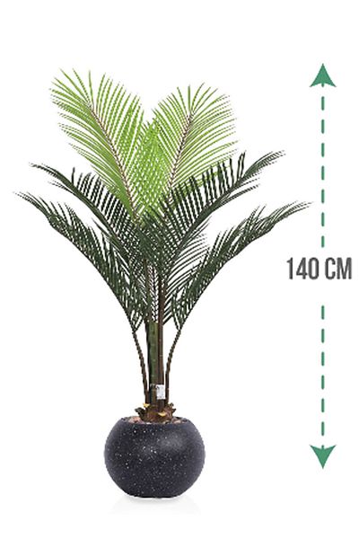 Generic Areca tree (7 branches) in a round plastic container