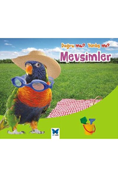 Mavi Kelebek Yayınları Mevsimler / Doğru mu Yanlış mı?