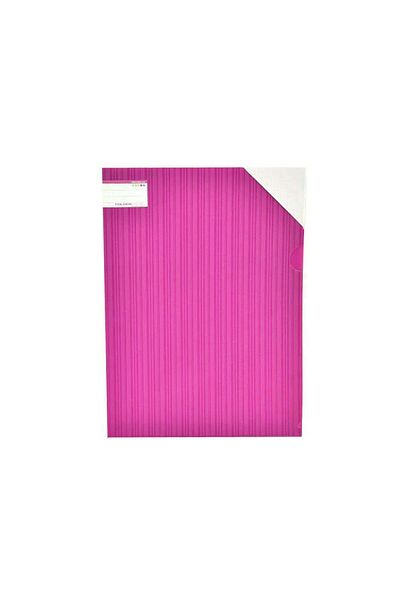 Generic Multi-colored plastic file folder