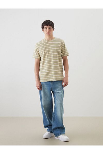 LC Waikiki Crew Neck Striped Men's T-Shirt