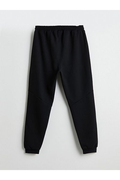 LC Waikiki Standard Fit Men's Jogger Sweatpants