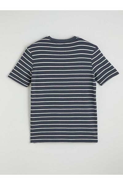 LC Waikiki Crew Neck Striped Men's T-Shirt