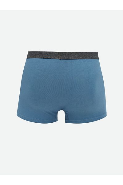 LC Waikiki Ανδρικό μπόξερ με τυπικό βαμβακερό εύκαμπτο