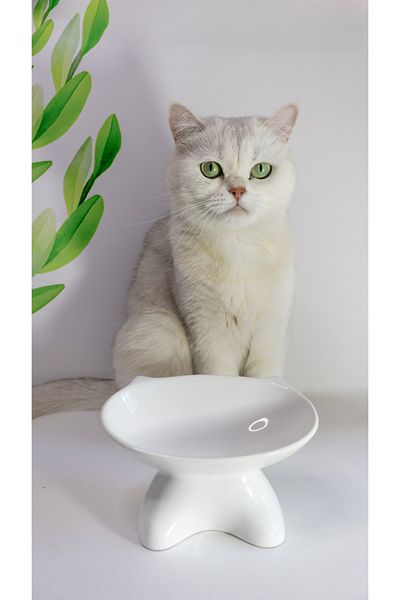 TAMER YİĞİT Special Design Cat Food Container 1St Quality Ceramic White