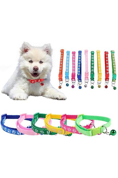 REDz Accessories Accesorii pentru câini