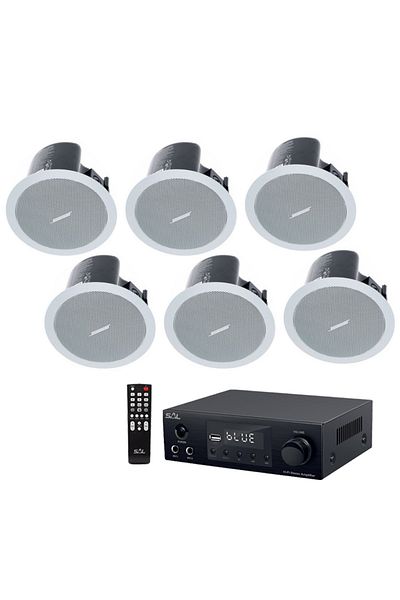 Bose Ceiling System Freespace Fs2c, 6 Speakers, Bluetooth, Usb, Fm