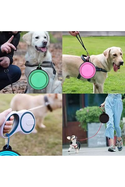 REDz Accessories Bol pliabil pentru animale de companie, capacitate 650 ml, carabină integrată, silicon, roz