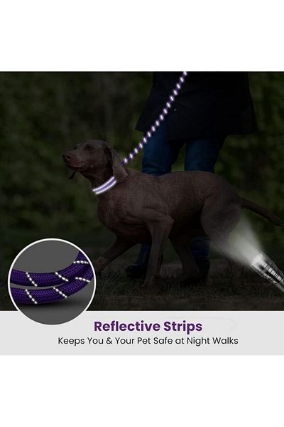 REDz Accessories Lesă Guardian, mâner din spumă moale, lungime 2 m, material textil durabil, violet