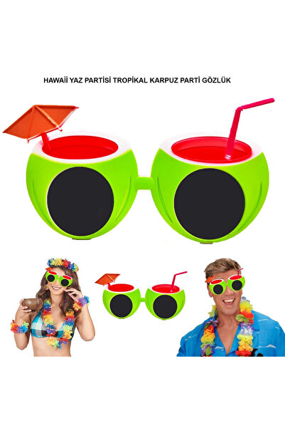 magicool Watermelon Shaped Tropical Hawaiian Hello Summer Party Glasses