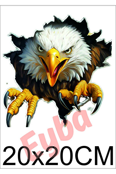 EYBA kartal araba karavan renkli baskı baskes Sticker 20x20 Cm bsks26