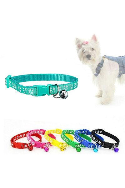 REDz Accessories Accesorii pentru câini