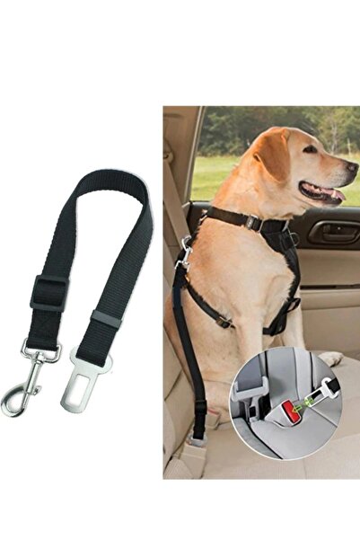Ankaflex طوق الحيوانات الأليفة مع حزام أمان داخل السيارة