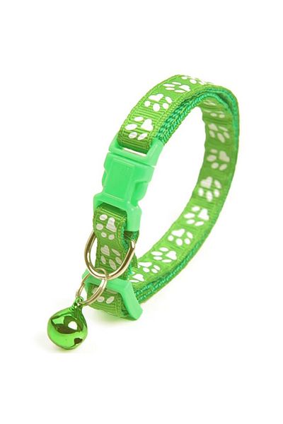 REDz Accessories Accesorii pentru câini