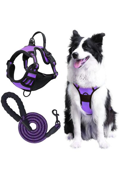 REDz Accessories Set ham și lesă, pentru câini, mărimea XL, benzi reflectorizante, mâner de control, material textil, violet