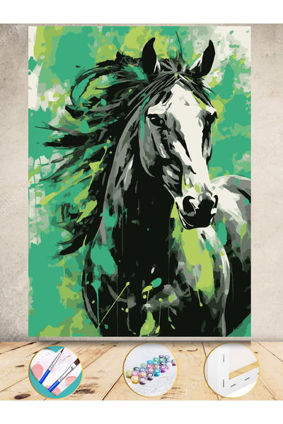 Puzzle Sayılarla Boyama Numaralı Tuval Seti Fırça Boya Dahil 35x50 Cm AT