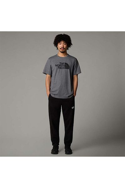 THE NORTH FACE Easy ανδρικό γκρι μπλουζάκι με στρογγυλή λαιμόκοψη