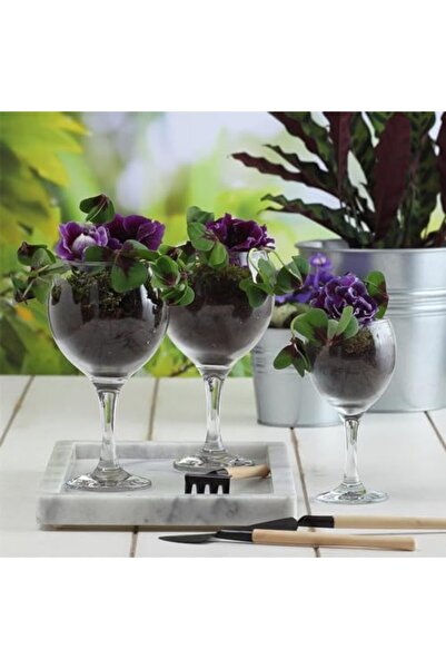 LAV -MISKET GOBLET 365cc 6PC ST