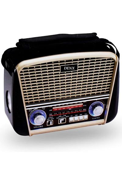 Denx راديو Dx2451 قابل لإعادة الشحن، يعمل بالطاقة الشمسية/البطارية، يدعم تشغيل بطاقة TF/USB