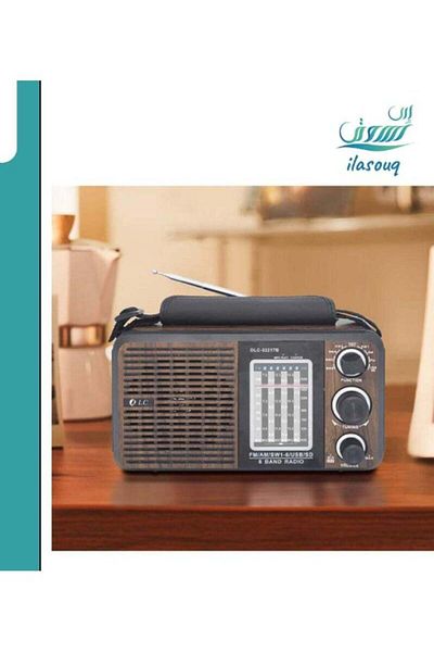 DLC Multi-Purpose Portable Radio