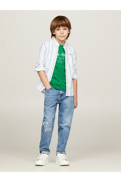 Tommy Hilfiger Tommy Hilfiger Boys Brown Straight Jeans