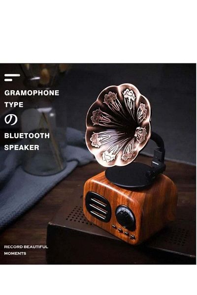 DLC 2 in 1 Wireless Bluetooth Speaker with FM Radio and MP3 Music. Attractive and distinctive shape It