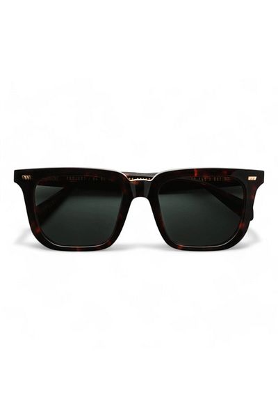 GAST Certo Classic Havana Unisex Sunglasses