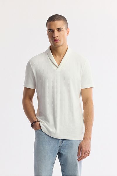 Avva Men's Ecru Shawl Collar Striped Jacquard T-Shirt A51Y1071