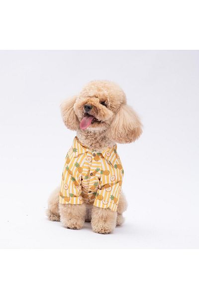 Pawstar Panama City Cat Dog Shirt - Cat Dog Apparel