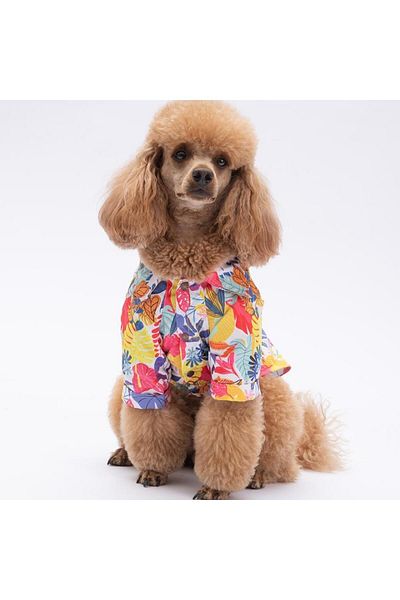 Pawstar Miami Cat Dog Shirt - Cat Dog Apparel