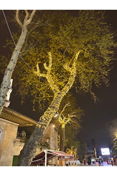 ACK Dış mekan beyaz flaşlı çakarlı eklenebilir led süsleme ışığı