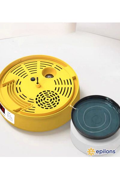 Light up Mini Automatic Home Type Incubator: Parrot Quail Incubator Mx-18 with 18 Eggs