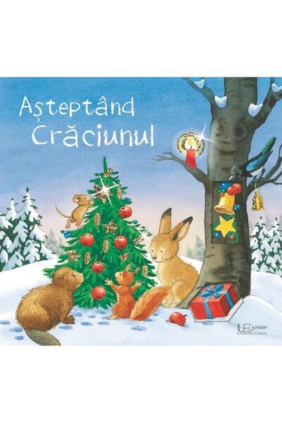 Editura Univers Enciclopedic Junior Asteptand Craciunul, Sabine Cuno