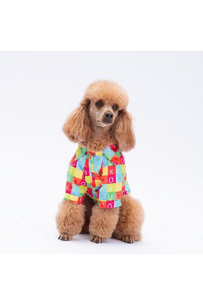 Pawstar Sarasota Cat Dog Shirt - Cat Dog Apparel