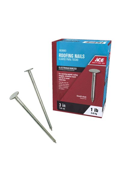 ACE Electrogalvanized Flat Head Roofing Nails 3inch