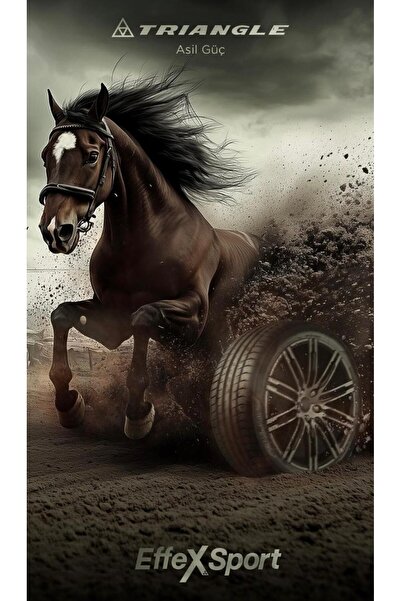 TRIANGLE RELİAX TOURİNG 195 55 16 YAZ LASTİĞİ