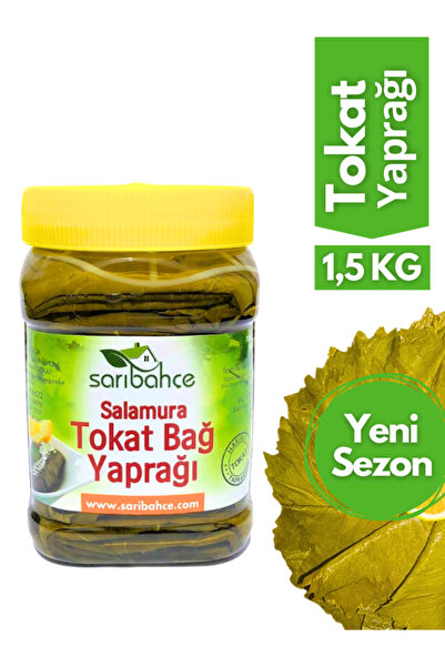 Sarıbahçe Tokat Yaprağı 1,5 Kg - Yeni Sezon Hakiki Erbaa Yaprağı