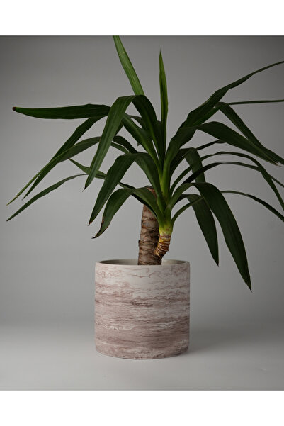 Kaju Creative Dekoratif Büyük Boy Beton Saksı - Mermer Desenli- Silindir 4.5L - 20x18 CM
