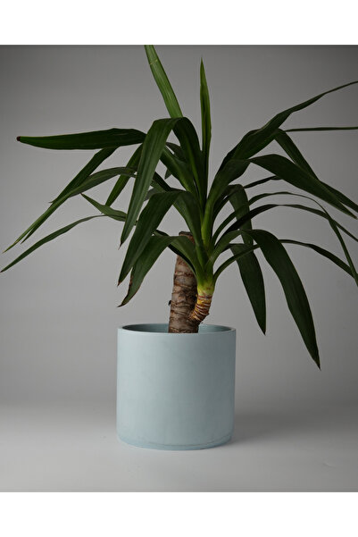 Kaju Creative Dekoratif Büyük Boy Beton Saksı - Mermer Desenli- Silindir 4.5L...