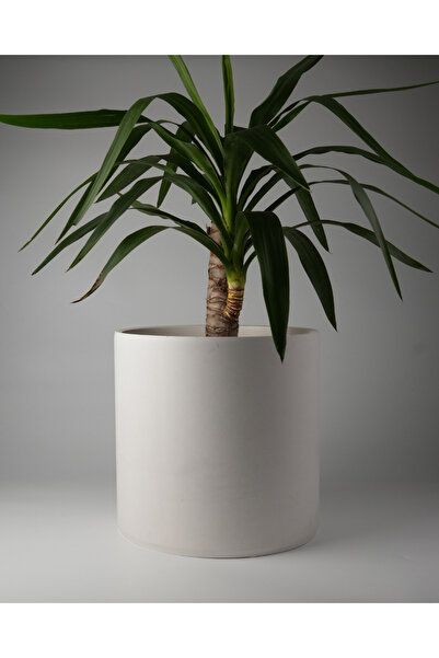Kaju Creative Dekoratif Beton Saksı 30 CM - Deliksiz - Krem/Gri - 20L