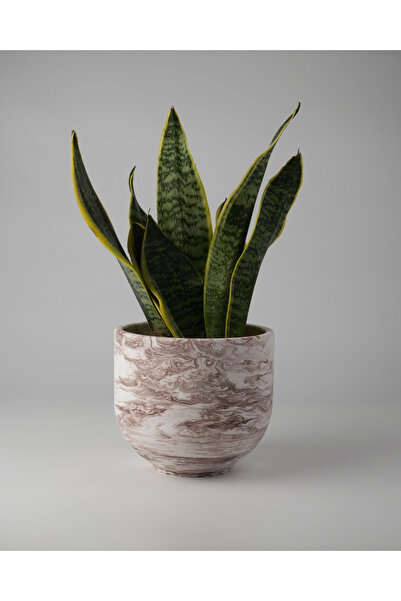 Kaju Creative Dekoratif Beton Saksı - Orta Boy Yuvarlak - 15x14cm 2L