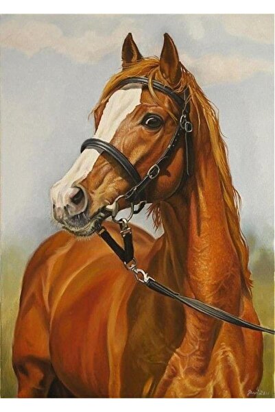 kendinyaphobi Sayılarla Boyama Seti Çerçeveli Kasnaklı Asil At 4 50 x 65 cm